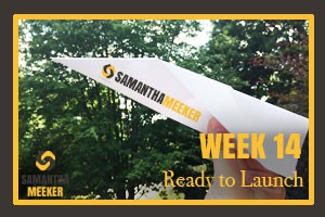 Week 14 - Ready to Launch by Samantha Meeker